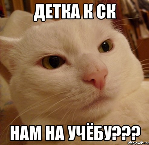 детка к ск нам на учёбу???