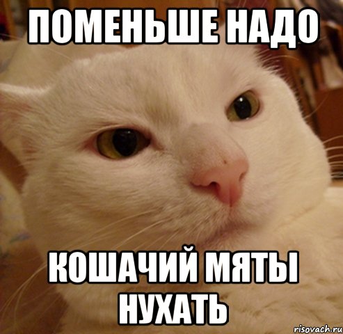поменьше надо кошачий мяты нухать