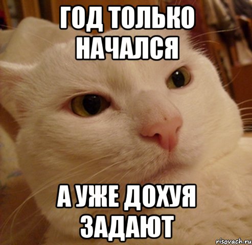 год только начался а уже дохуя задают