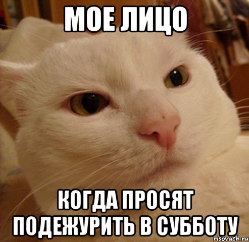 мое лицо когда просят подежурить в субботу