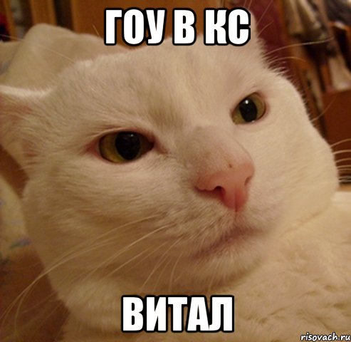 гоу в кс витал