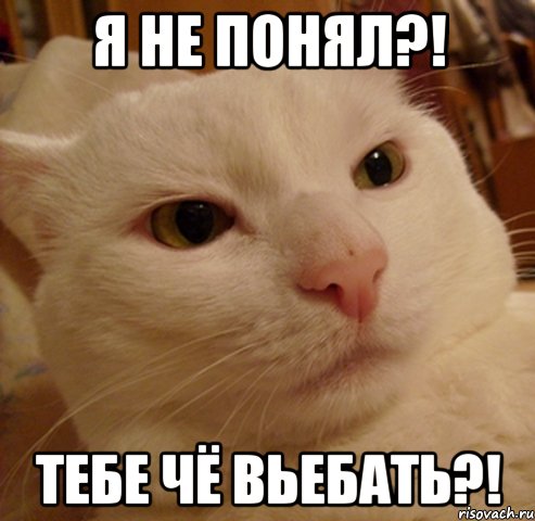 я не понял?! тебе чё вьебать?!