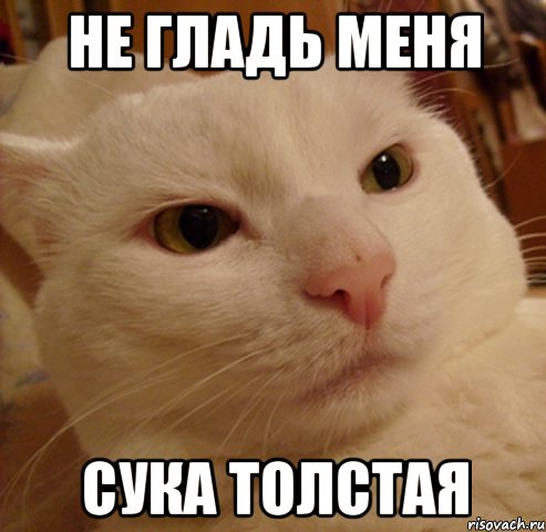 не гладь меня сука толстая