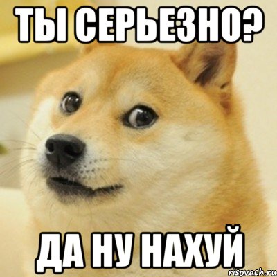 ты серьезно? да ну нахуй, Мем doge woof