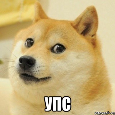  упс, Мем doge woof