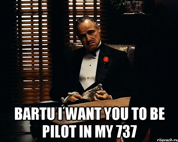  bartu i want you to be pilot in my 737, Мем Дон Вито Корлеоне