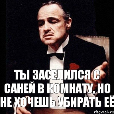 ты заселился с Саней в комнату, но не хочешь убирать её, Комикс Дон Вито Корлеоне 1