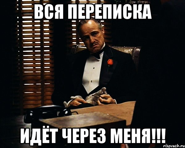 вся переписка идёт через меня!!!, Мем Дон Вито Корлеоне