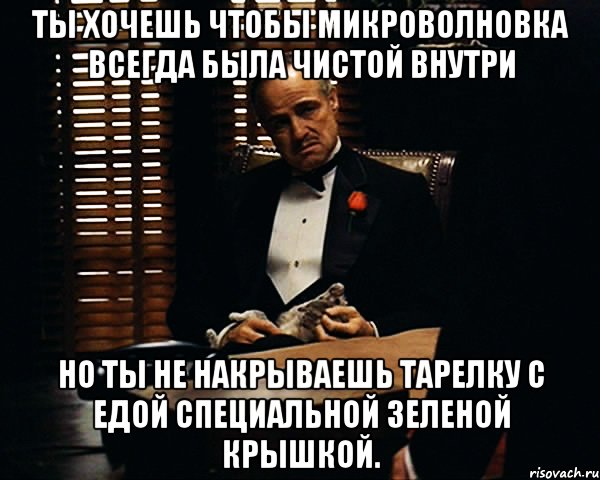 ты хочешь чтобы микроволновка всегда была чистой внутри но ты не накрываешь тарелку с едой специальной зеленой крышкой., Мем Дон Вито Корлеоне