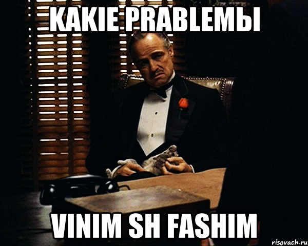 kakie prablemы vinim sh fashim, Мем Дон Вито Корлеоне