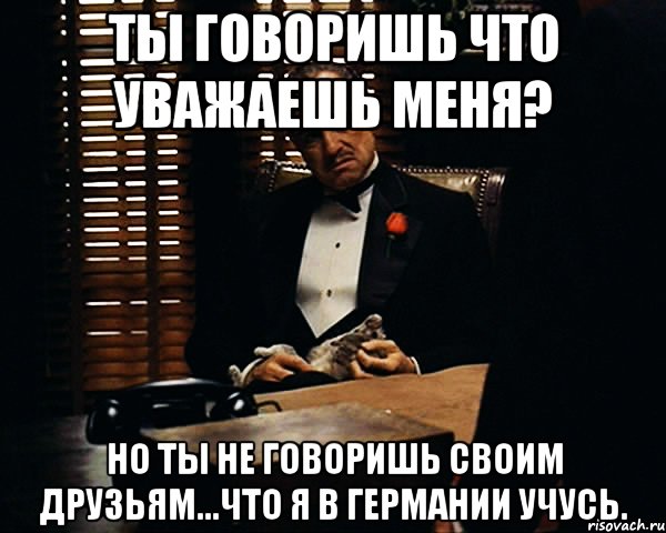 ты говоришь что уважаешь меня? но ты не говоришь своим друзьям...что я в германии учусь., Мем Дон Вито Корлеоне