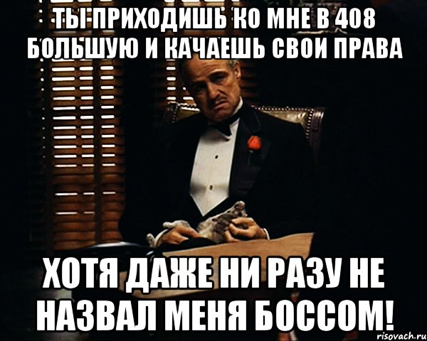 ты приходишь ко мне в 408 большую и качаешь свои права хотя даже ни разу не назвал меня боссом!, Мем Дон Вито Корлеоне