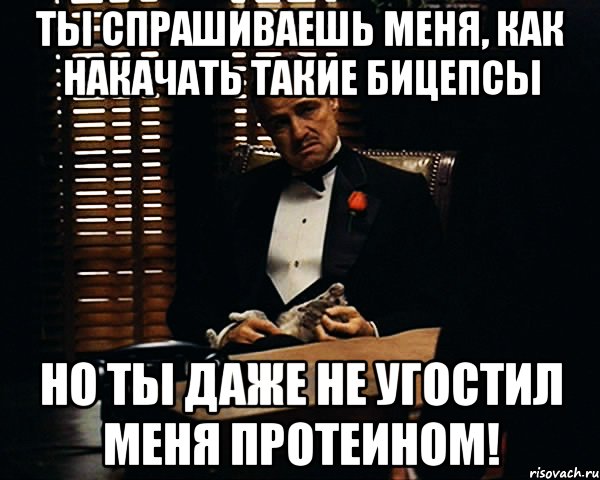 ты спрашиваешь меня, как накачать такие бицепсы но ты даже не угостил меня протеином!, Мем Дон Вито Корлеоне