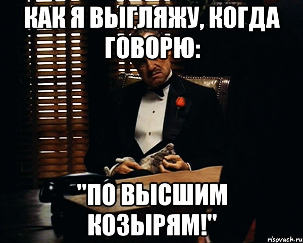 как я выгляжу, когда говорю: "по высшим козырям!", Мем Дон Вито Корлеоне