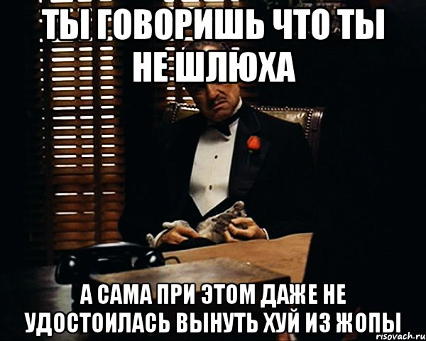 ты говоришь что ты не шлюха а сама при этом даже не удостоилась вынуть хуй из жопы, Мем Дон Вито Корлеоне