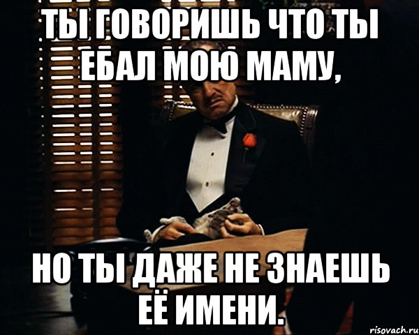 ты говоришь что ты ебал мою маму, но ты даже не знаешь её имени., Мем Дон Вито Корлеоне