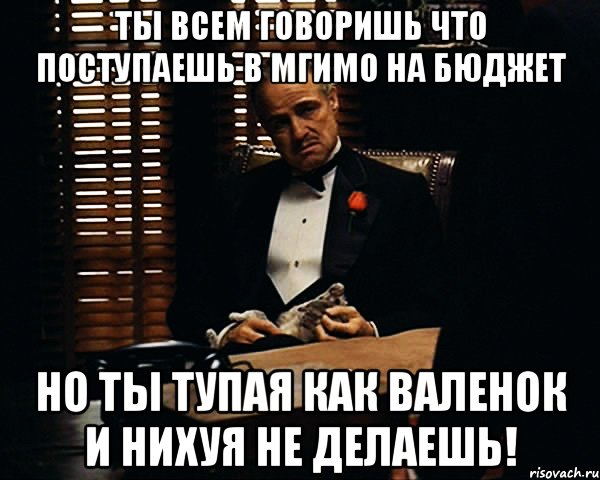 ты всем говоришь что поступаешь в мгимо на бюджет но ты тупая как валенок и нихуя не делаешь!, Мем Дон Вито Корлеоне