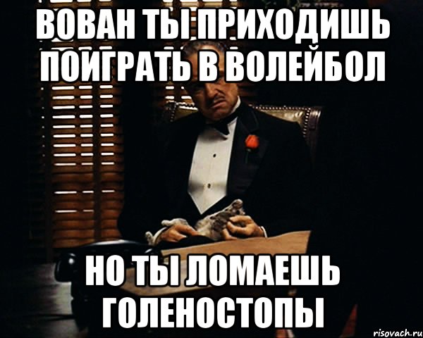 вован ты приходишь поиграть в волейбол но ты ломаешь голеностопы, Мем Дон Вито Корлеоне