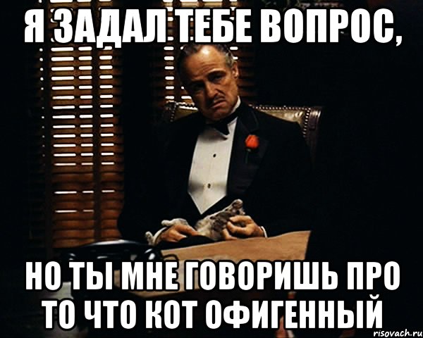 я задал тебе вопрос, но ты мне говоришь про то что кот офигенный, Мем Дон Вито Корлеоне