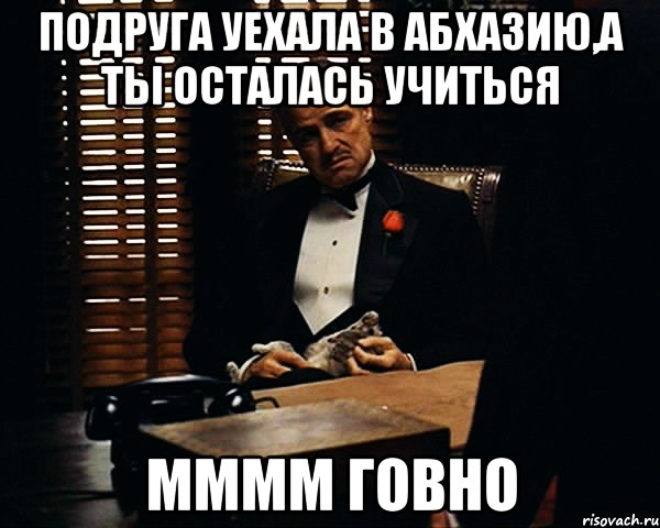 подруга уехала в абхазию,а ты осталась учиться мммм говно, Мем Дон Вито Корлеоне