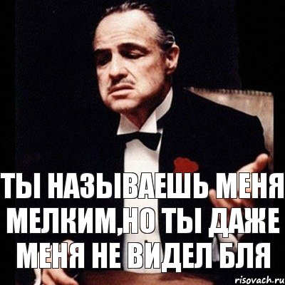 Ты называешь меня мелким,но ты даже меня не видел бля, Комикс Дон Вито Корлеоне 1