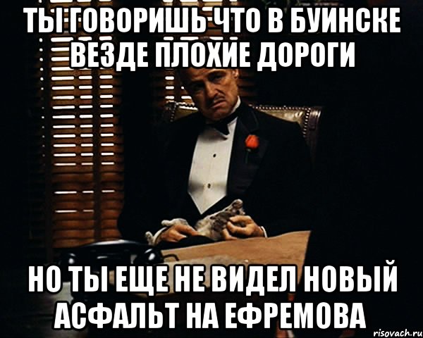 ты говоришь что в буинске везде плохие дороги но ты еще не видел новый асфальт на ефремова, Мем Дон Вито Корлеоне