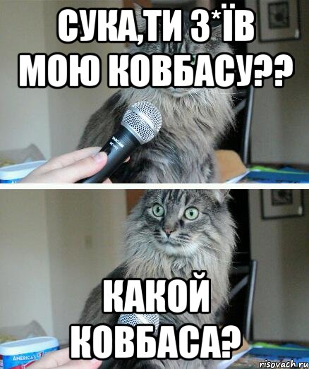 сука,ти з*їв мою ковбасу?? какой ковбаса?, Комикс  кот с микрофоном