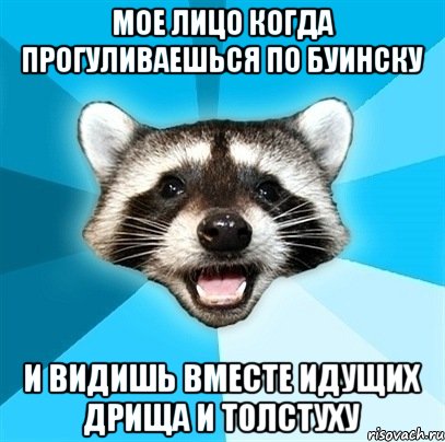 мое лицо когда прогуливаешься по буинску и видишь вместе идущих дрища и толстуху, Мем Енот-Каламбурист