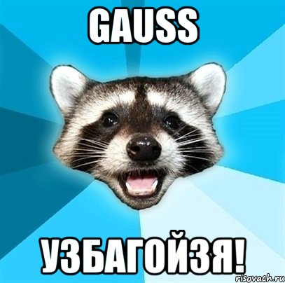 gauss узбагойзя!, Мем Енот-Каламбурист