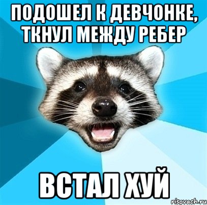 подошел к девчонке, ткнул между ребер встал хуй, Мем Енот-Каламбурист