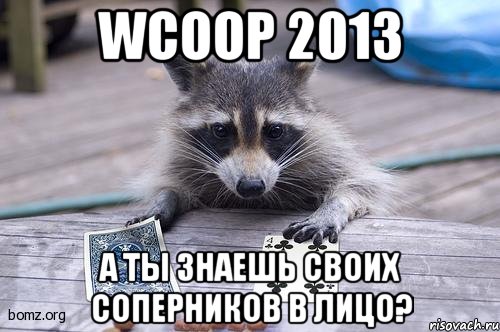 wcoop 2013 а ты знаешь своих соперников в лицо?