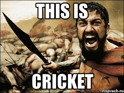 this is cricket, Мем Это Спарта