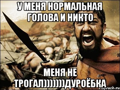 у меня нормальная голова и никто меня не трогал)))))))дуроёбка, Мем Это Спарта