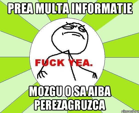 prea multa informatie mozgu o sa aiba perezagruzca, Мем фак е