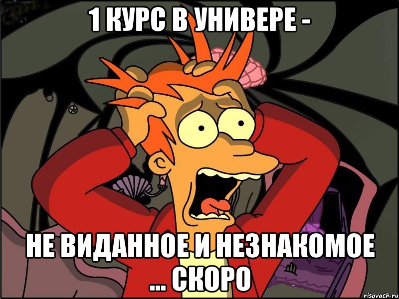 1 курс в универе - не виданное и незнакомое ... скоро, Мем Фрай в панике