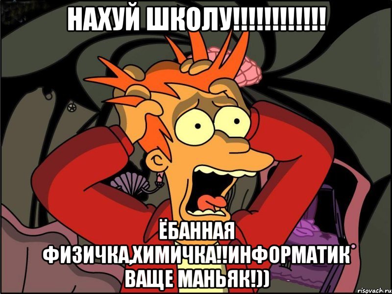 нахуй школу!!! ёбанная физичка,химичка!!информатик ваще маньяк!)), Мем Фрай в панике