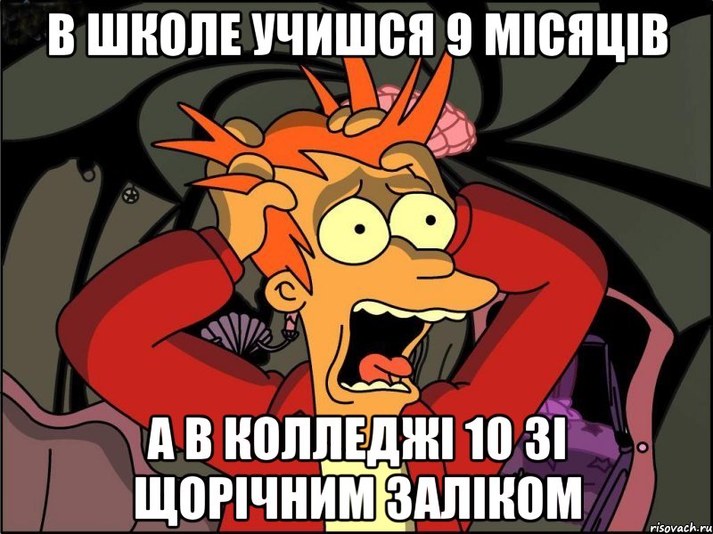 в школе учишся 9 місяців а в колледжі 10 зі щорічним заліком, Мем Фрай в панике