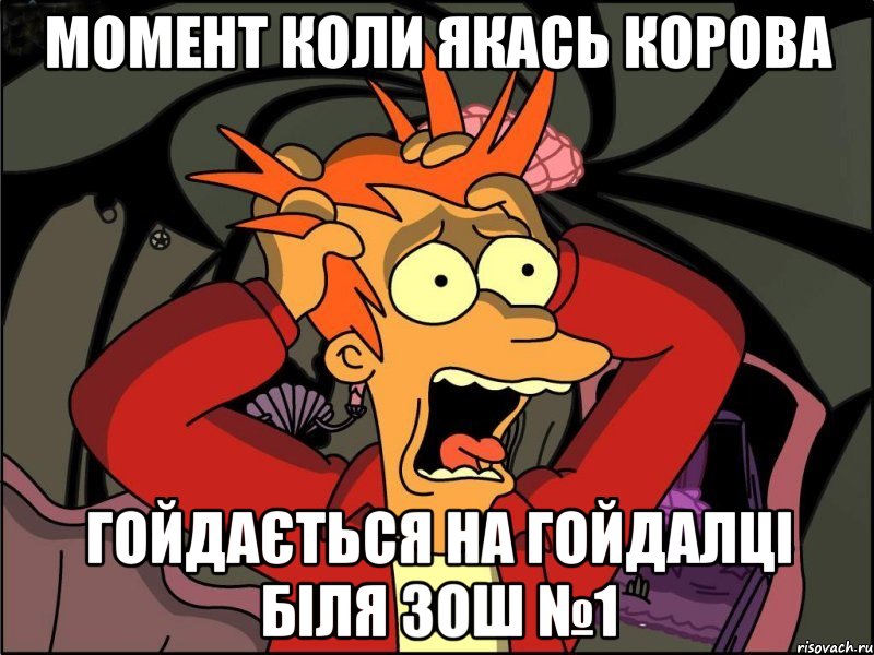 момент коли якась корова гойдається на гойдалці біля зош №1, Мем Фрай в панике