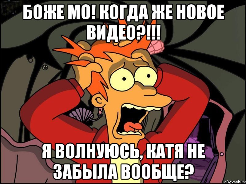 боже мо! когда же новое видео?!!! я волнуюсь, катя не забыла вообще?, Мем Фрай в панике