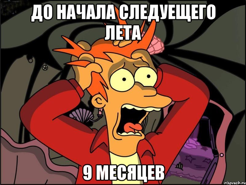 до начала следуещего лета 9 месяцев, Мем Фрай в панике