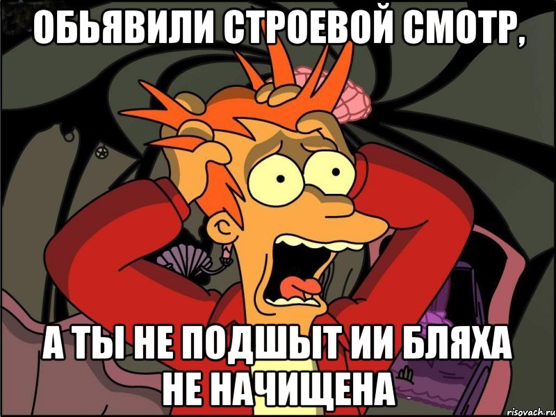 обьявили строевой смотр, а ты не подшыт ии бляха не начищена, Мем Фрай в панике