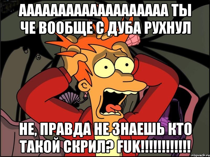 ааааааааааааааааааа ты че вообще с дуба рухнул не, правда не знаешь кто такой скрил? fuk!!!, Мем Фрай в панике