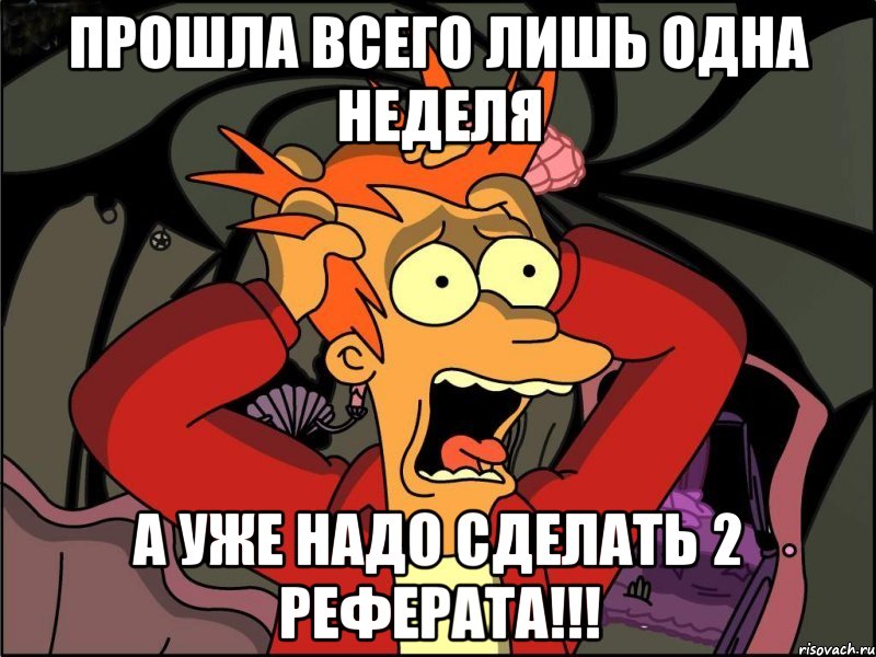 прошла всего лишь одна неделя а уже надо сделать 2 реферата!!!, Мем Фрай в панике