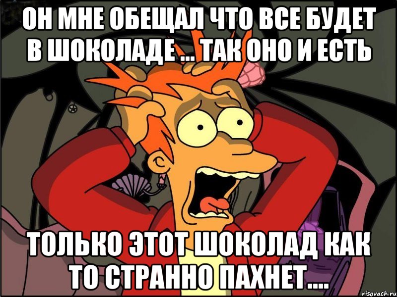 он мне обещал что все будет в шоколаде ... так оно и есть только этот шоколад как то странно пахнет...., Мем Фрай в панике