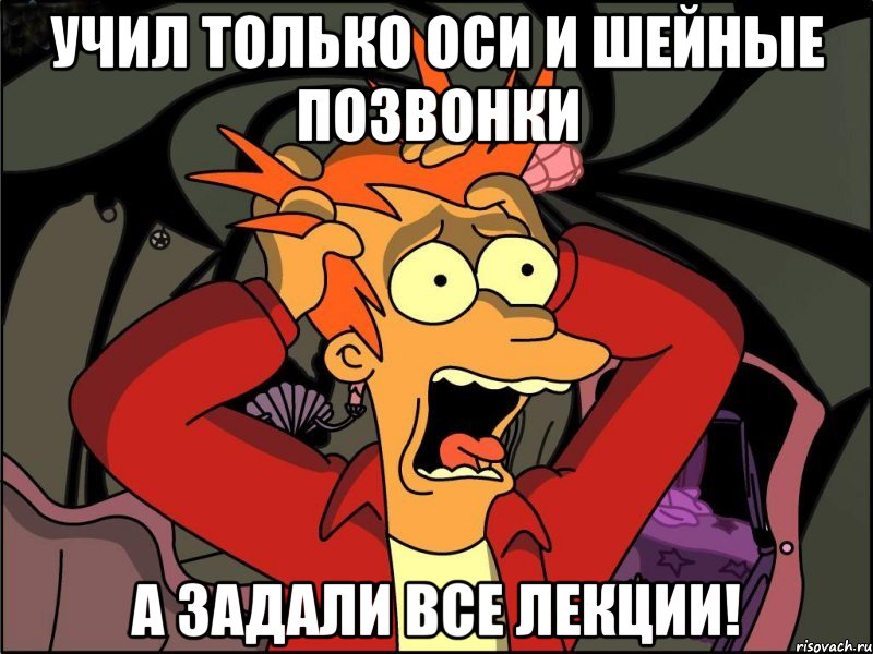 учил только оси и шейные позвонки а задали все лекции!, Мем Фрай в панике