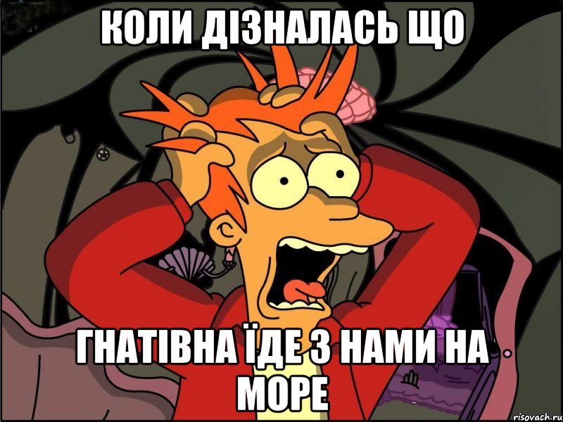 коли дізналась що гнатівна їде з нами на море, Мем Фрай в панике