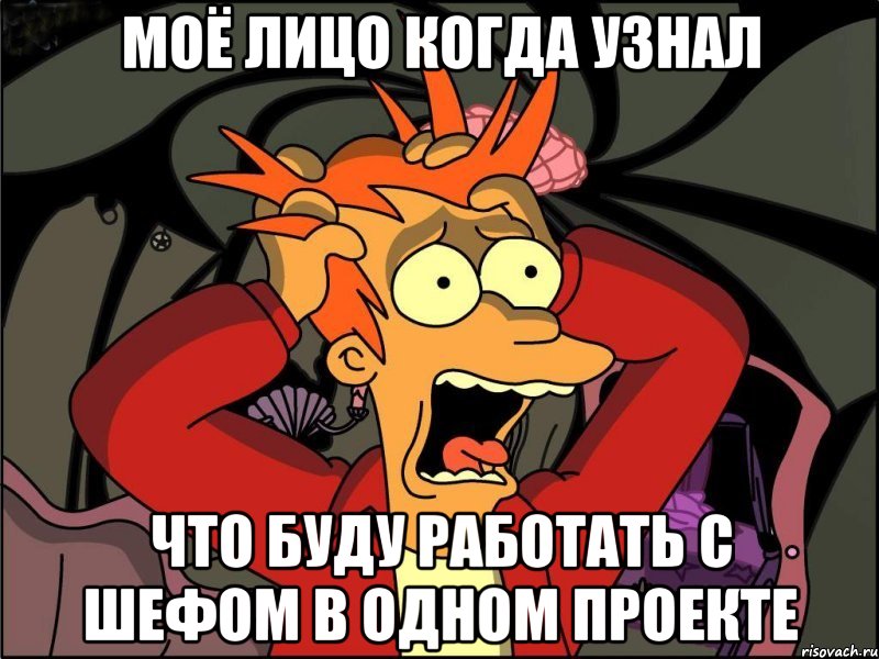 моё лицо когда узнал что буду работать с шефом в одном проекте, Мем Фрай в панике