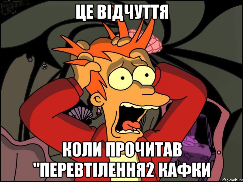 це відчуття коли прочитав "перевтілення2 кафки, Мем Фрай в панике