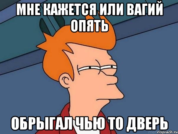 мне кажется или вагий опять обрыгал чью то дверь, Мем  Фрай (мне кажется или)