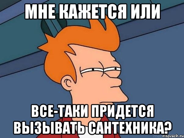 мне кажется или все-таки придется вызывать сантехника?, Мем  Фрай (мне кажется или)